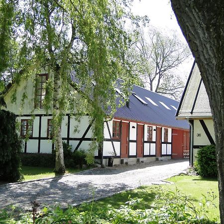 Dyssegaard B&B Skallerup Extérieur photo