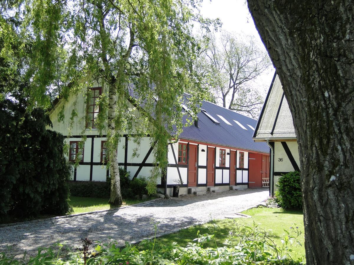 Dyssegaard B&B Skallerup Extérieur photo